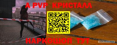 винт Камышлов