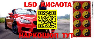винт Камышлов
