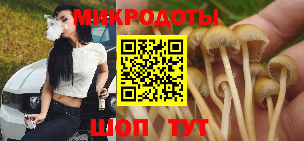 Галлюциногенные грибы прущие грибы  Вход с VPN  Камень-на-Оби 