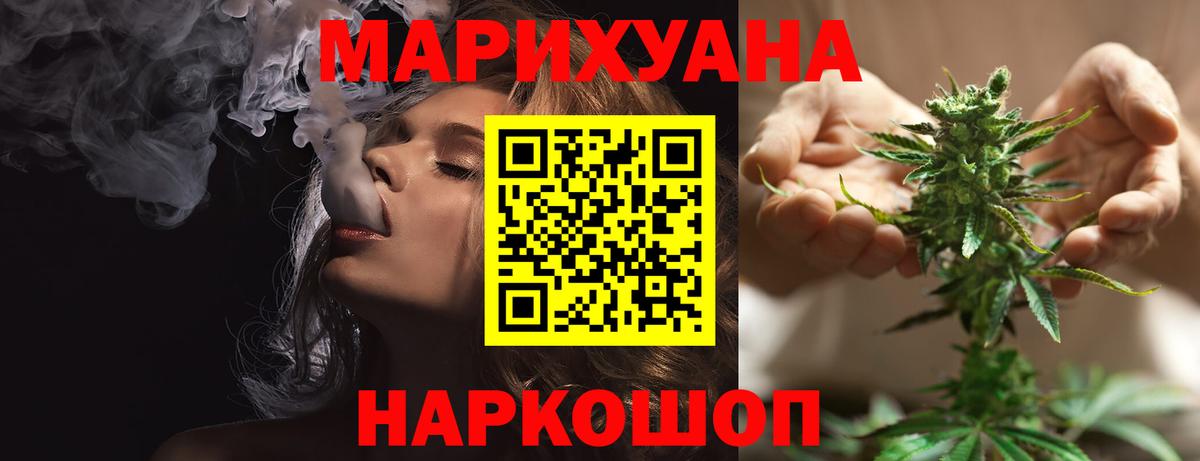 Конопля сатива Камень-на-Оби
